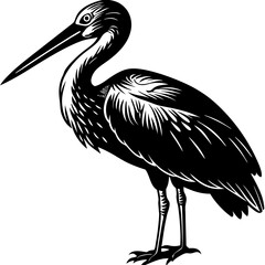 Stork with long beak silhouette