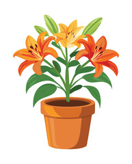 Orange Lily in Terracotta Pot