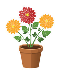 Red Orange Blooming Potted