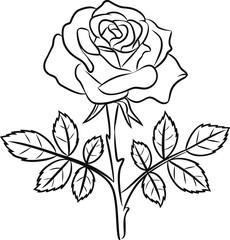 A beautifully detailed black-and-white illustration of a rose with leaves. This design is perfect for floral-themed projects, greeting cards, or any creative work celebrating nature and beauty.