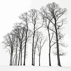 tree in the snow