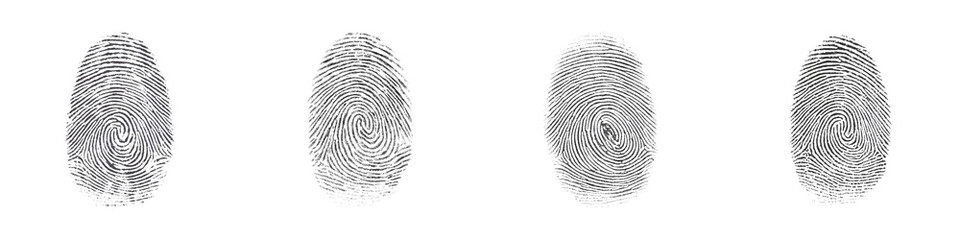 Fingerprint identification and security authentication