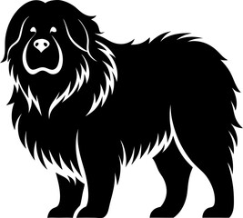 Tibetan Mastiff  black silhouette vector icon