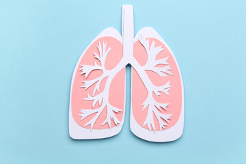 Paper lungs on blue background