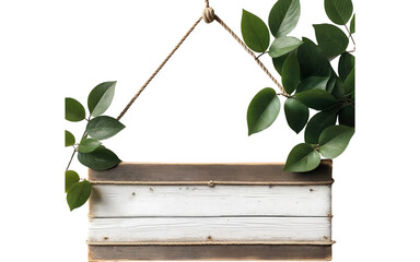 wooden photo frame with green leaves on transparent background
