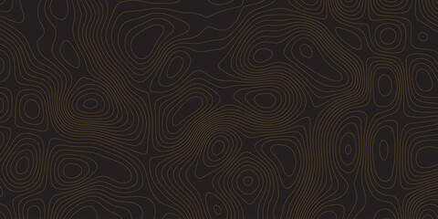 Topographic map background geographic line map Abstract vector illustration World Map Vintage Old-Style wave paper curved reliefs abstracts black background