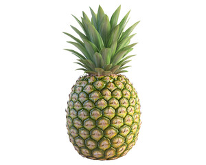 Fototapeta premium pineapple isolated png