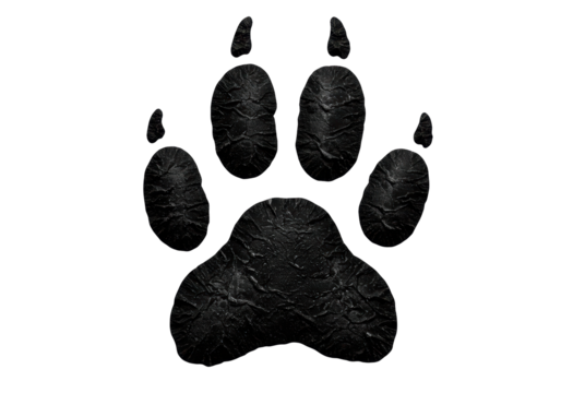 Isolated Black Textured Animal Paw Print