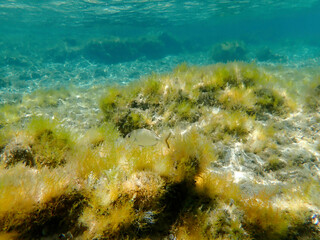 Greece Antiparos island Agios Theologos beach