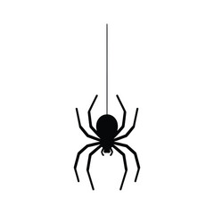 Black spider hanging on a web silhouette