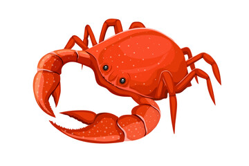 crab simple vector design isolated on the white background.delicious sea food concept clip art vector illustration.