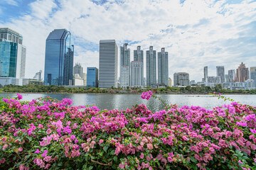 Benjakitti park in Bangkok city