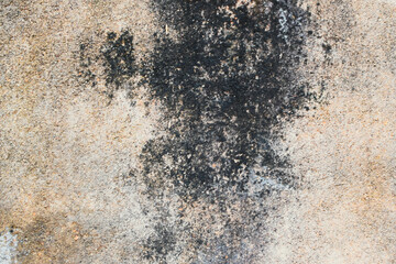 Old Abandoned Building Wall with Moss, Cracks, and Faded Colors. Close-up of an Old Concrete Wall...