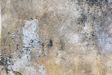 Old Abandoned Building Wall with Moss, Cracks, and Faded Colors. Close-up of an Old Concrete Wall...
