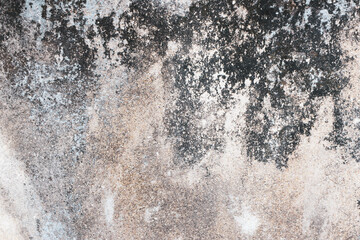 Old Abandoned Building Wall with Moss, Cracks, and Faded Colors. Close-up of an Old Concrete Wall...