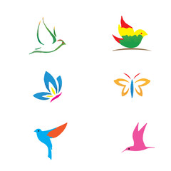 Beautiful Birds Vector set