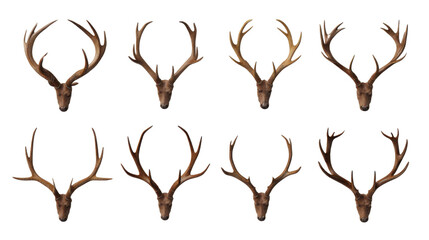 Two lines of antlers arranged symmetrically in parallel rows from wild animals isolated on white background