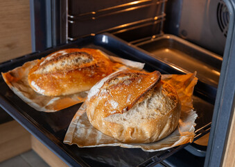 fresh homemade bread loaves baking inside hot oven on parchment paper showing golden brown crispy...