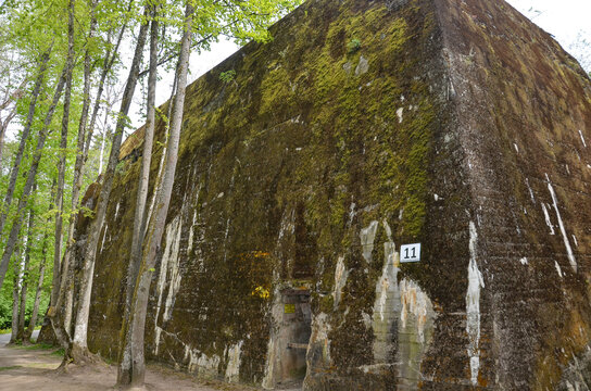 remains of buildings, trees, the concrete town of bunkers Wolf's Lair in Gierłoż near Kętrzyn
