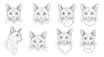 Obraz premium Detailed Black and White Cat Portraits in Various Poses and Expressions