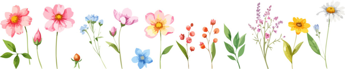 Beautiful spring flowers show the bright beauty of nature.