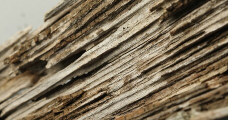Close-Up of Layered and Weathered Wood Texture