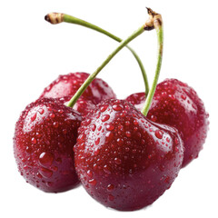 Close-up of fresh ripe cherries with water droplets on smooth skin isolated on white background