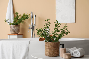 Vases of green blossoming branches with cosmetic products and towels on table near beige wall in stylish bathroom