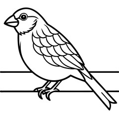 Obraz premium Small Finch on Wire Fence – Simple Rural Line Art Design