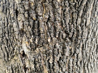 THE BEAUTY OF ABSTRACT ARTISTIC SURFACE TEXTURE	