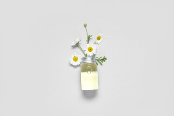 Bottle of chamomile cosmetic oil and flowers on grey background