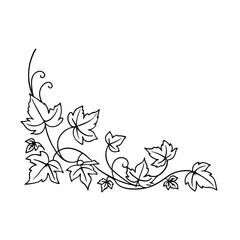 Elegant corner design featuring delicate black and white ivy leaves and swirls