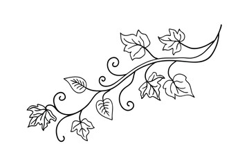 Elegant branch with leaves and tendrils simple vector line art design on white background