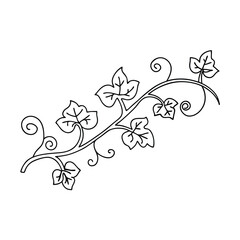 Simple black and white vine illustration featuring leaves and swirls on a white background