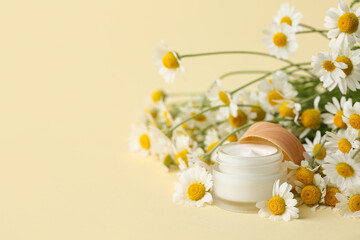 Jar of natural cream and beautiful chamomile flowers on color background
