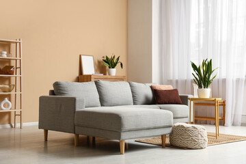 Interior of living room with sofa, table and Sansevieria plants