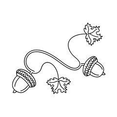 Simple hand drawn black and white illustration of acorns and leaves on a white background
