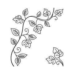 Elegant black and white vector illustration of a decorative vine with detailed leaves