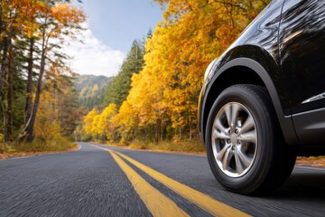 Black car driving on road surrounded by autumn trees