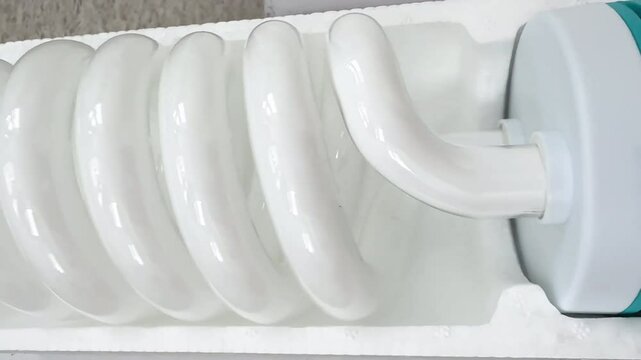 Large spiral compact fluorescent light bulb (CFL) in protective white foam packaging. Energy-saving daylight lamp with E27 screw base on light wooden background, top view