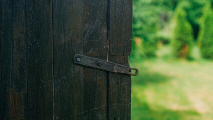 Old Black Wooden Shed Doors in Summer Garden