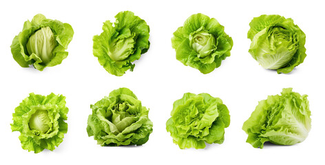 A collection of fresh green lettuce heads on a transparent background