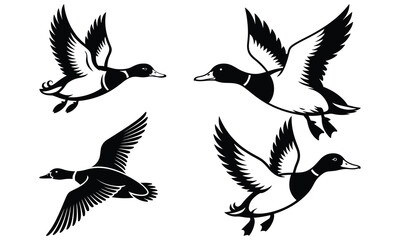 set of vector birds