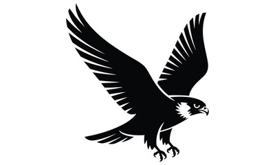 Obraz premium eagle in flight