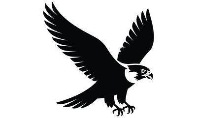 eagle in flight