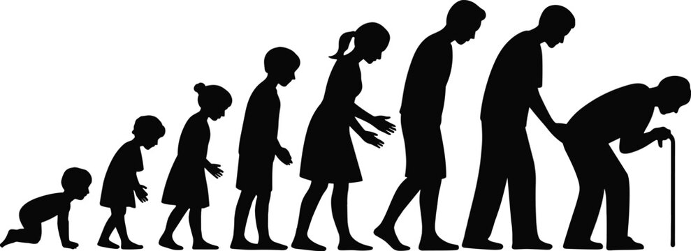 Silhouette human life evolution, baby to old man, aging stages, growth process, development