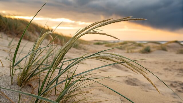 Macro image of seashore paspalum grass, salt-tolerant blades with speckled discoloration, sandy soil in background, coastal atmosphere