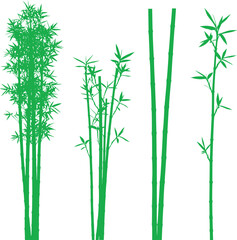 Naklejka premium Green Bamboo Silhouettes Collection of Diverse Bamboo Plant Illustrations
