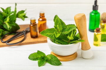 Fresh mint with mortar and pestle on wooden background. Melissa leaves. Healing herbs green mint...
