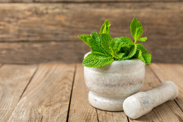 Fresh mint with mortar and pestle on wooden background. Melissa leaves. Healing herbs green mint leaves in mortar for medicine.Space for text. Copy space.